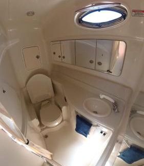 Northeast Coconut Grove Boat Rental | Searay 320