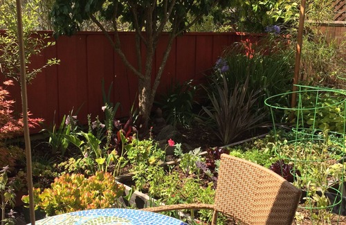 Rio del Mar House | Seascape Garden Studio Minutes From Ocean Or Redwoods