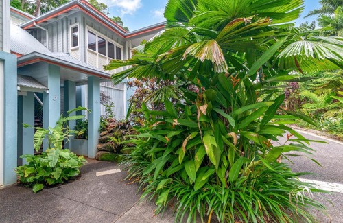 Port Douglas Villa | Seascape Holidays Villas on Murphy Street