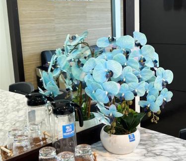 Karambunai Apartment | Seascape Karambunai Home - Amazing sea front view!