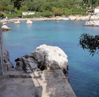 Molunat Apartment | Seaside apartments with a swimming pool Molunat, Dubrovnik - 3544