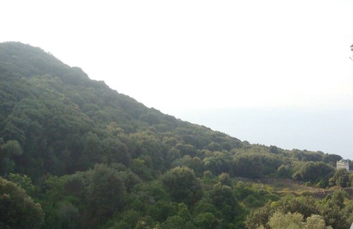 Pino Apartment | Seasonal rental of apartment in Pino Cap Corse 2/3 people