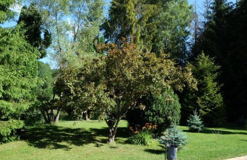 Northern Hungary Bed & Breakfast | Sebesvi­z Panzió