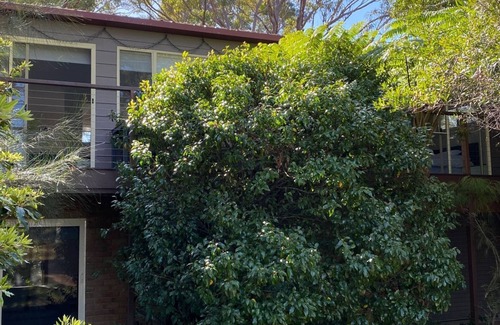 Erowal Bay House | Sec57 - Jan's Retreat by Experience Jervis Bay