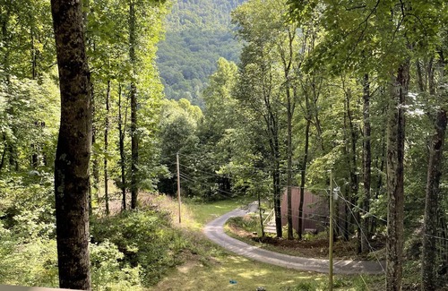 Cattail Creek Cabin | Secluded Bearcat Cabin with mountain view