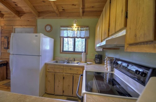 Ellijay Cabin | Secluded Bliss BirchTree Cabin with Indoor Hot Tub