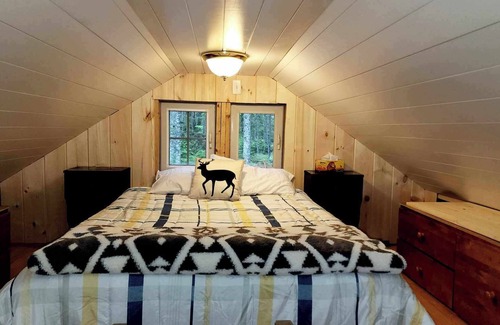Steuben Cabin | Secluded Cabin in Pinkham Bay on the Coast of Maine