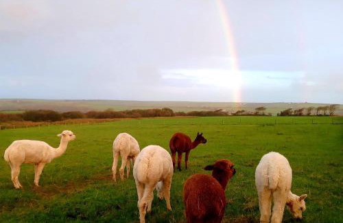 Welcombe House | Secluded converted horsebox Retreat in Welcombe