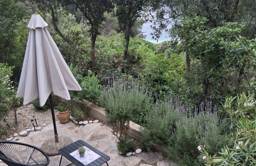 Zrnovo House | Secluded fisherman's cottage Cove Orlanduša, Korčula (K-21104)