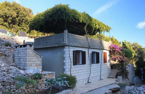 Rasohatica House | Secluded fisherman's cottage Cove Rasohatica, Korcula - 9233