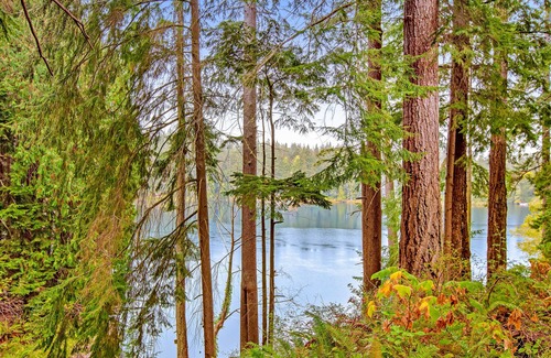 Langley House | Secluded lakefront home with fast WiFi, dock, paddleboards, deck & fire table