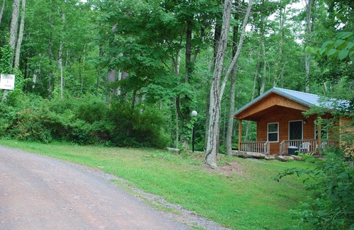 Robertsdale Cabin | Secluded Mountain Cabin Getaway Near Raystown Lake : Sleeps 6 + Pool & Fire Pit