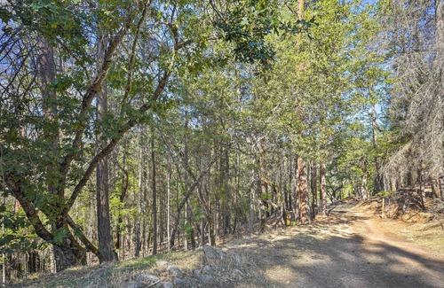 Douglas City House | Secluded Mountain Home near River - Dog-Friendly