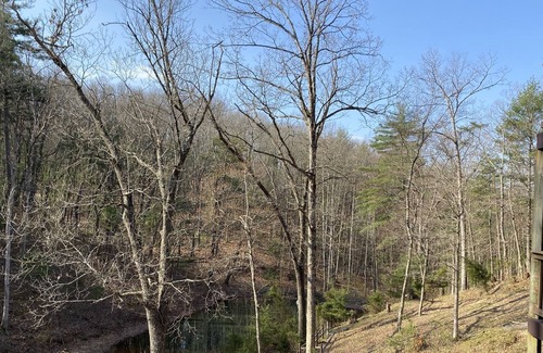 Mount Jackson Cabin | Secluded Mountain Cabin on 8 Acres in Shenandoahs