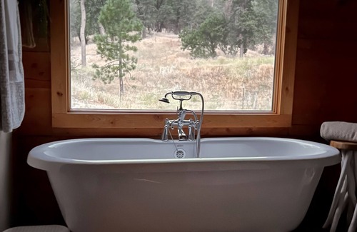 California Hot Springs Cabin | Secluded Log Cabin in the Sequoia National Forest
