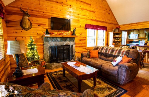 Young Harris Cabin | Second Heaven Cabin - Fireplace & Hot Tub