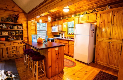 Young Harris Cabin | Second Heaven Cabin - Fireplace & Hot Tub