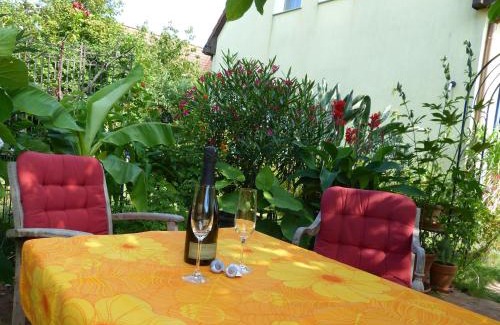 Muritz Apartment | Seeadler - Ferienwohnung