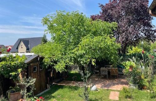 Muritz Apartment | Seeadler - Ferienwohnung