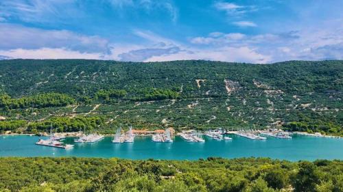 Cres Boat Rental | Segelbooturlaub