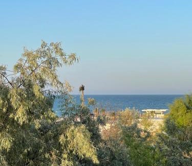 Constanta Apartment | Selena by the sea