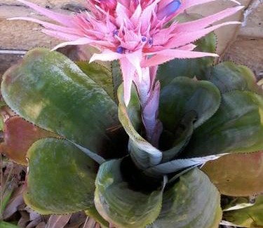 Sandbaai House | Self Catering Unit 6, Sandbaai