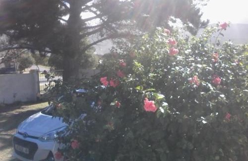 Sandbaai House | Self Catering Unit 6, Sandbaai