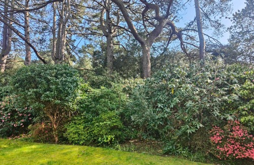 Bournemouth Apartment | Self-contained flat, off street parking close to town and beach