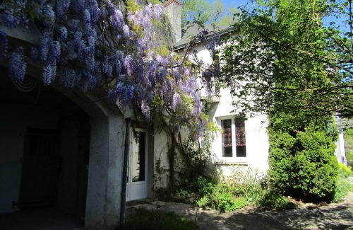 Nazelles-Negron House | Semi-Troglodyte House, 4 A 8 Sleeps - 5 Min D Amboise - Chateau View