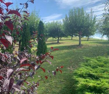 Guca House | Seosko turističko domaćinstvo Jolović GUČA Veles