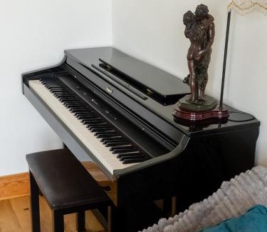 Charlton Marshall House | Serene Countryside Retreat - Piano - Games Room