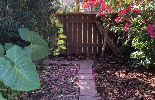 Palmetto Cottage | Serene Island Cottage Waterfront Haven-pet friendly.