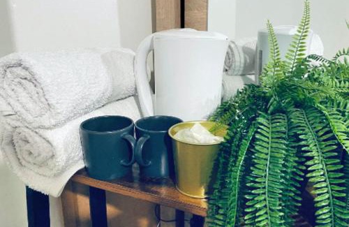 Plaistow South House | Serene Room - O2 & Excel Center