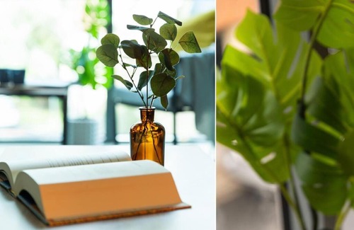 South Yarra Apartment | Serene South Yarra Sanctuary
