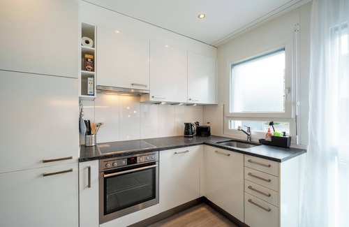 Safenwil House | Serene Swiss Apt | scenic balcony views + parking + hi-speed wifi