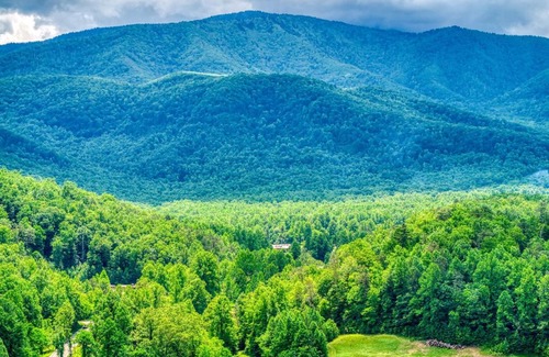 Cosby House | Serenity Brook- Pickleball Court, Creek, WIFI, Mountain Views, Starting at 99