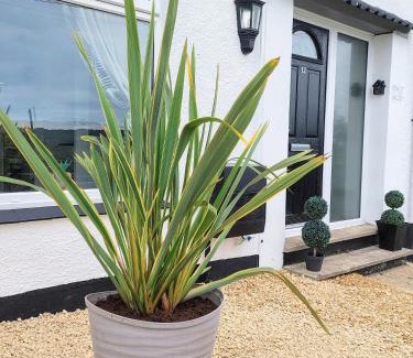 Tatworth House | 'Serenity in Somerset ' Self Catering House Rental Near Chard , Accomodation for Contract Workers only