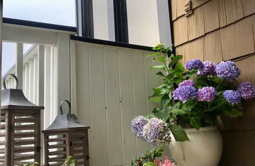 Laguna Beach Apartment | Serenity in the hills of Laguna Beach