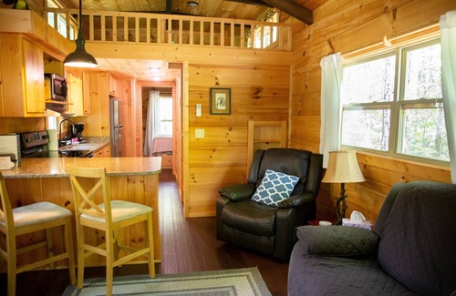 Mill Spring Cabin | Serenity Ridge Cabin D: Hideaway + Hot Tub