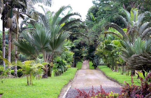 Corales del Sur Apartment | Serviced 4 bed 2 Bedroom-apartment in Corales del Sur Close to Ole Las Americas