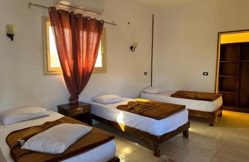 Dahab Hotel | Seven Heaven Hotel And Diving Center
