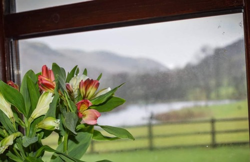Builth Wells Ski Chalet | Sgrech y coed - Jay