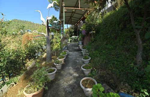 Kaul House | Shaantvan Homestay-Near Bhalughar Waterfall-Mukteshwar