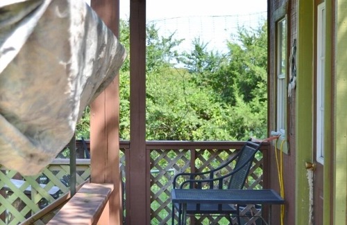 Mena Cabin | Shady Cabana cabin or Tiny home nestled in the valley between 3 beautiful ponds!
