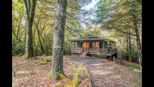 Brevard House | Shady Creek Cabin