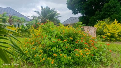 Malindi Apartment | Shalom Wellspring Cottage