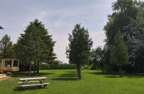 Ashfield-Colborne-Wawanosh House | Shamrock Beach Cottage near Ontario's sandy west coast!
