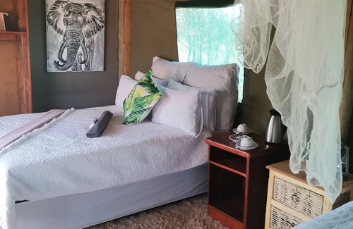 Phalaborwa Other | Shanatsi Safari Lodge