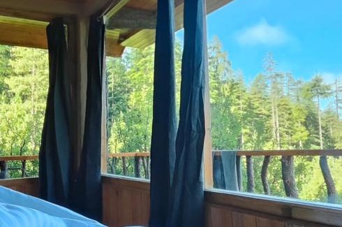 Mohal Cabin | Shantchit Yoga & Wellness Resort Kasol