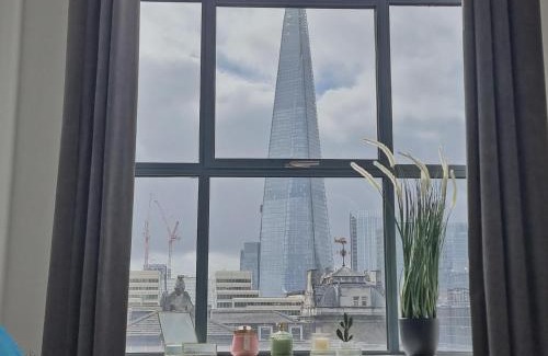 Billingsgate Apartment | Shard View Apartments